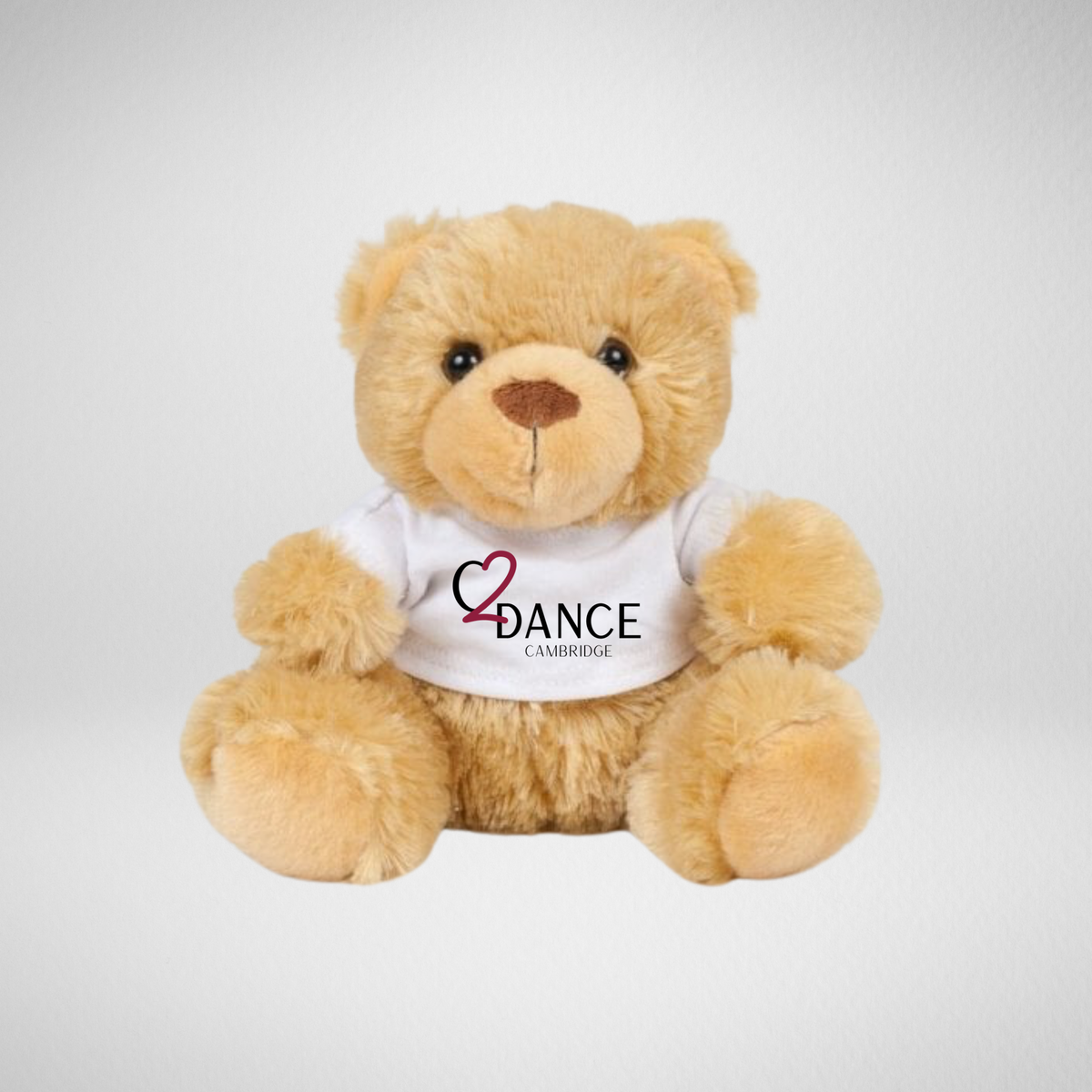 Chapter 2 Dance Academy Brown Teddy Bear