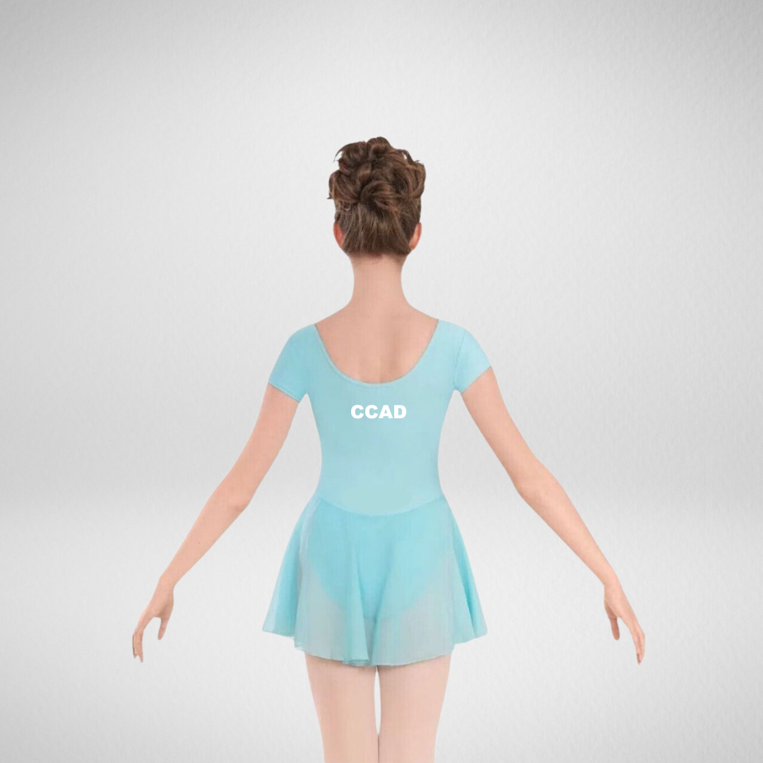 Compass Company Acro & Dance Skirted Leotard (Mini students only)
