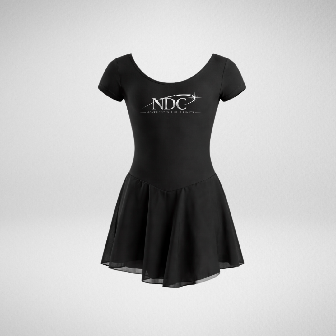 Nova Dance Co Skirted Leotard