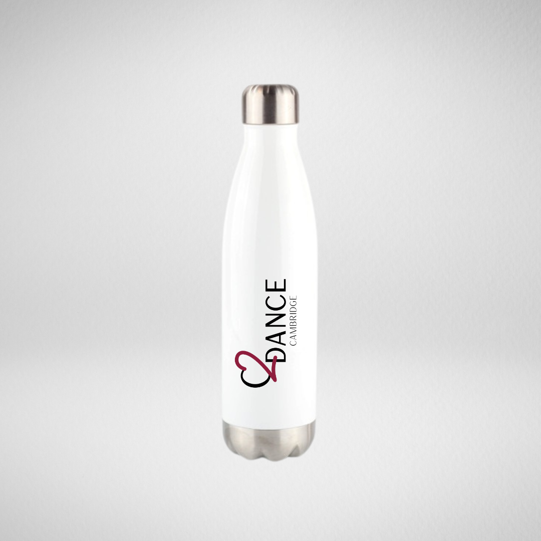 Chapter 2 Dance Academy Stainless Steel Bottle