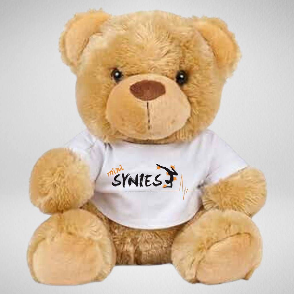 Mini Synies Training Academy Teddy Bear (Large)