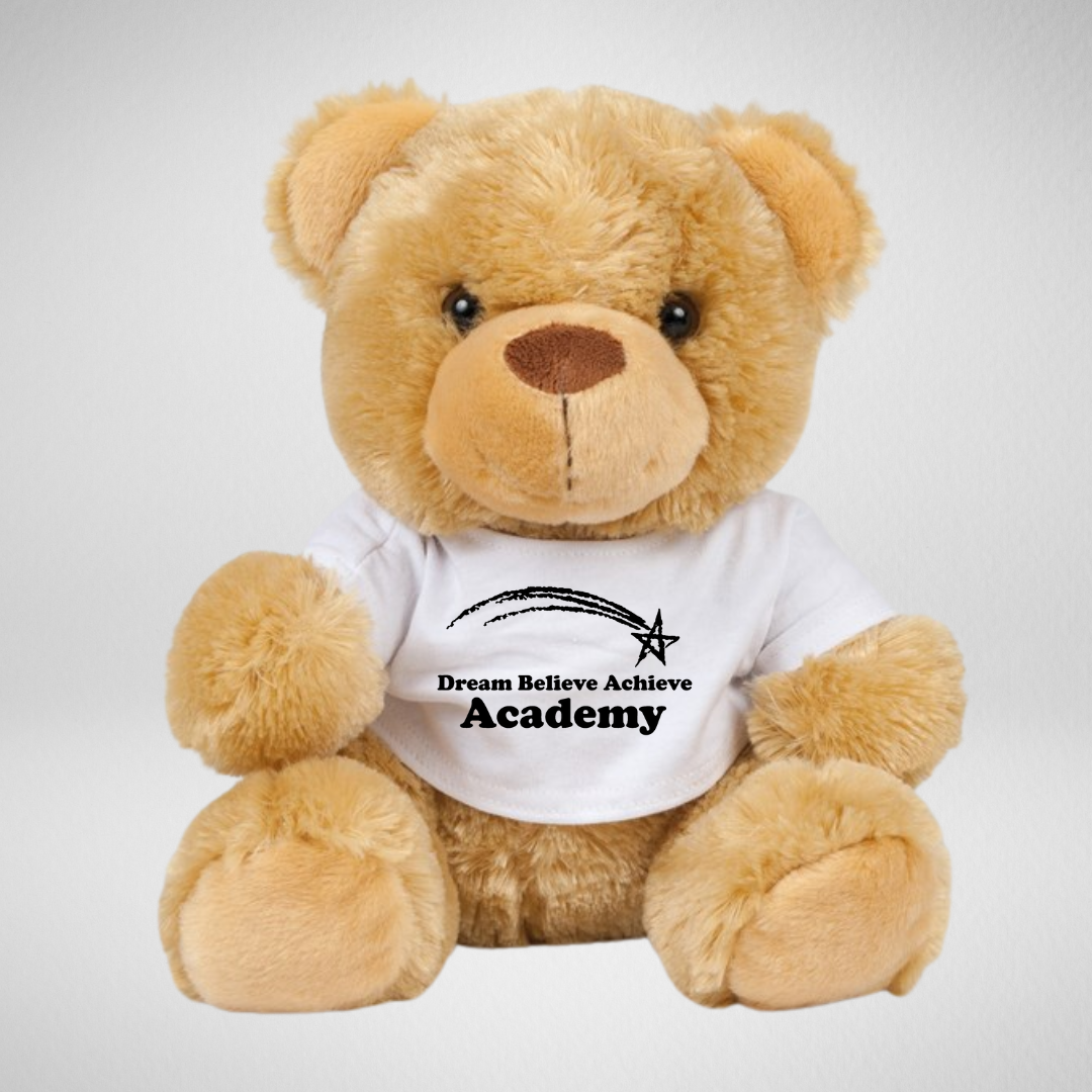 Dream Believe Achieve Academy Teddy Bear (Large)