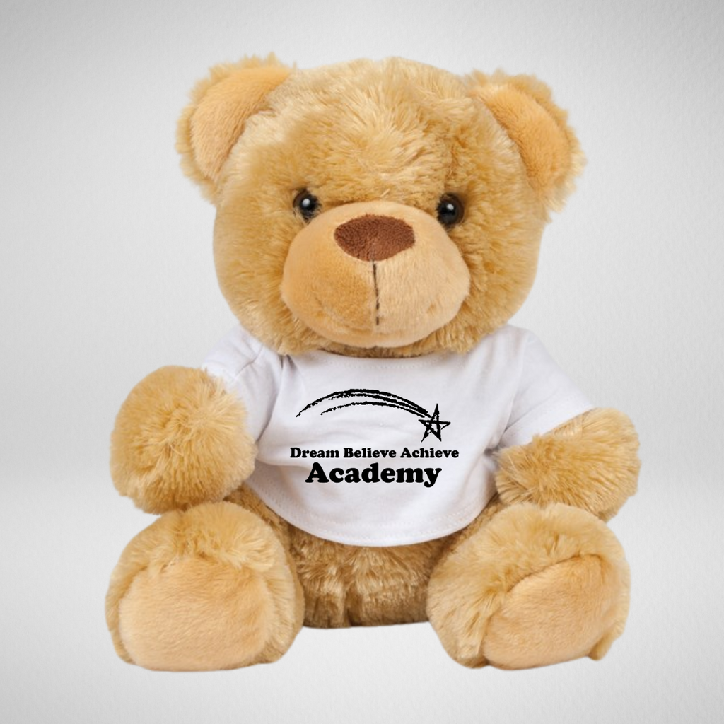Dream Believe Achieve Academy Teddy Bear (Large)