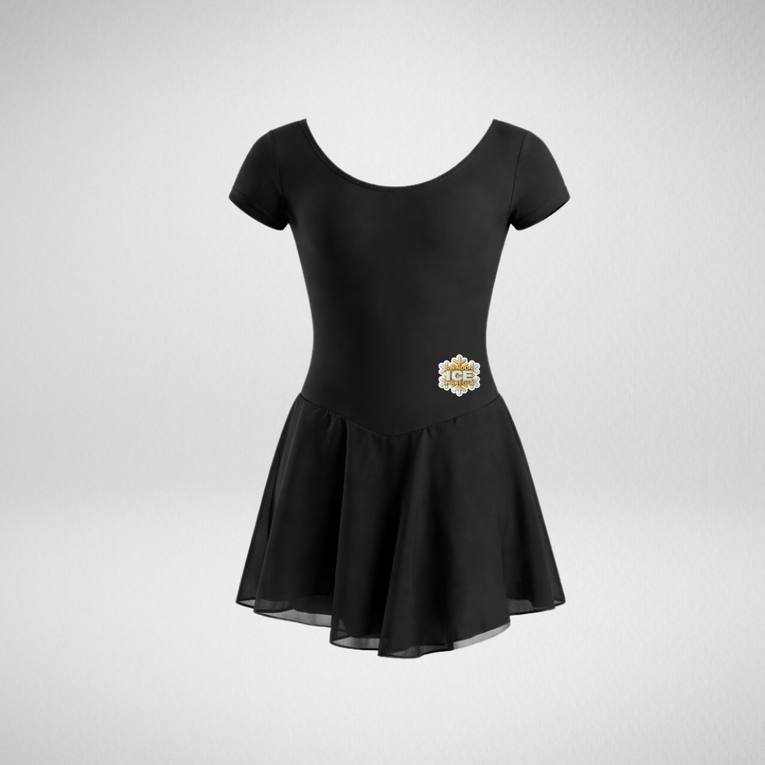 Swindon Ice Figure Club Main Range Skirted Leotard
