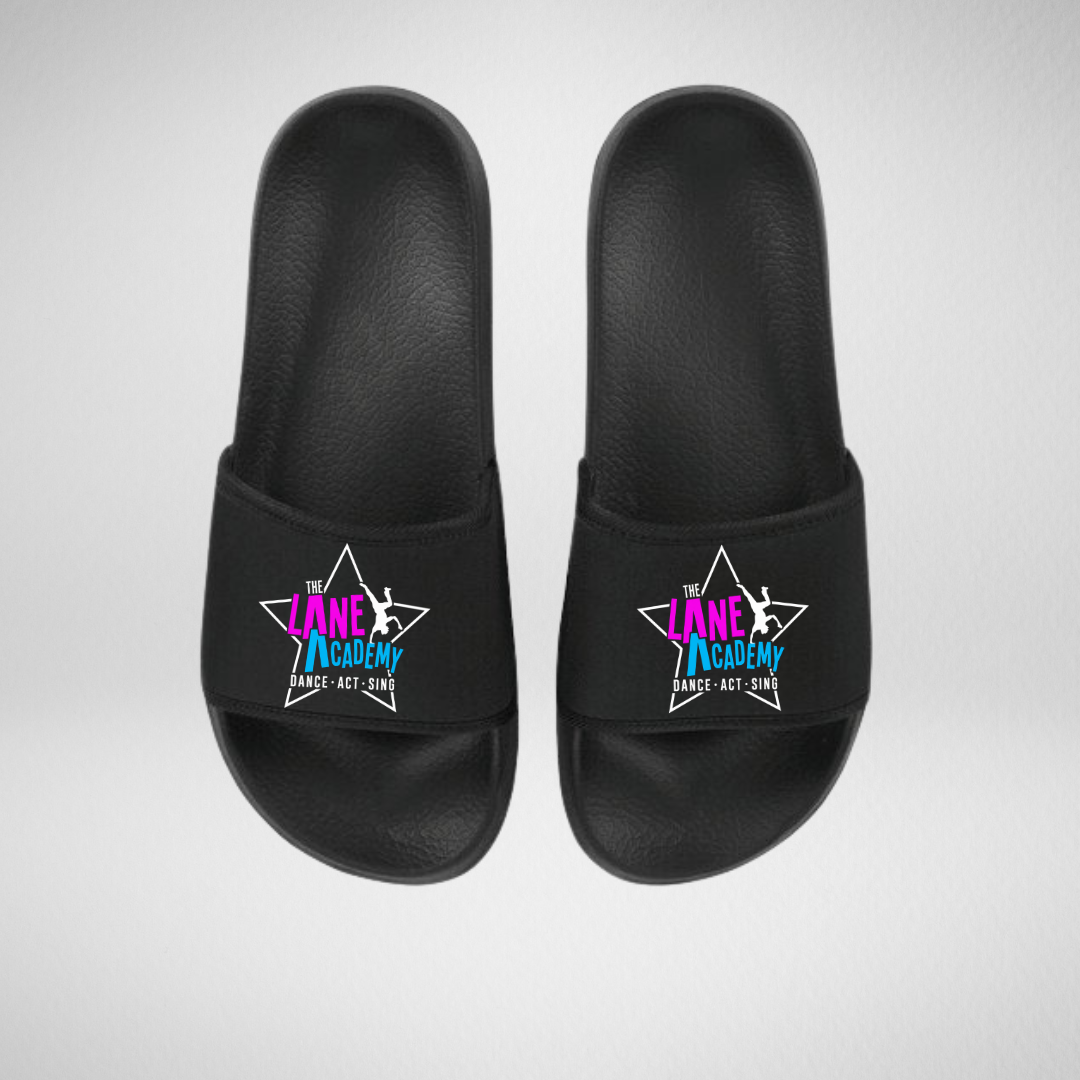 The Lane Academy Sliders