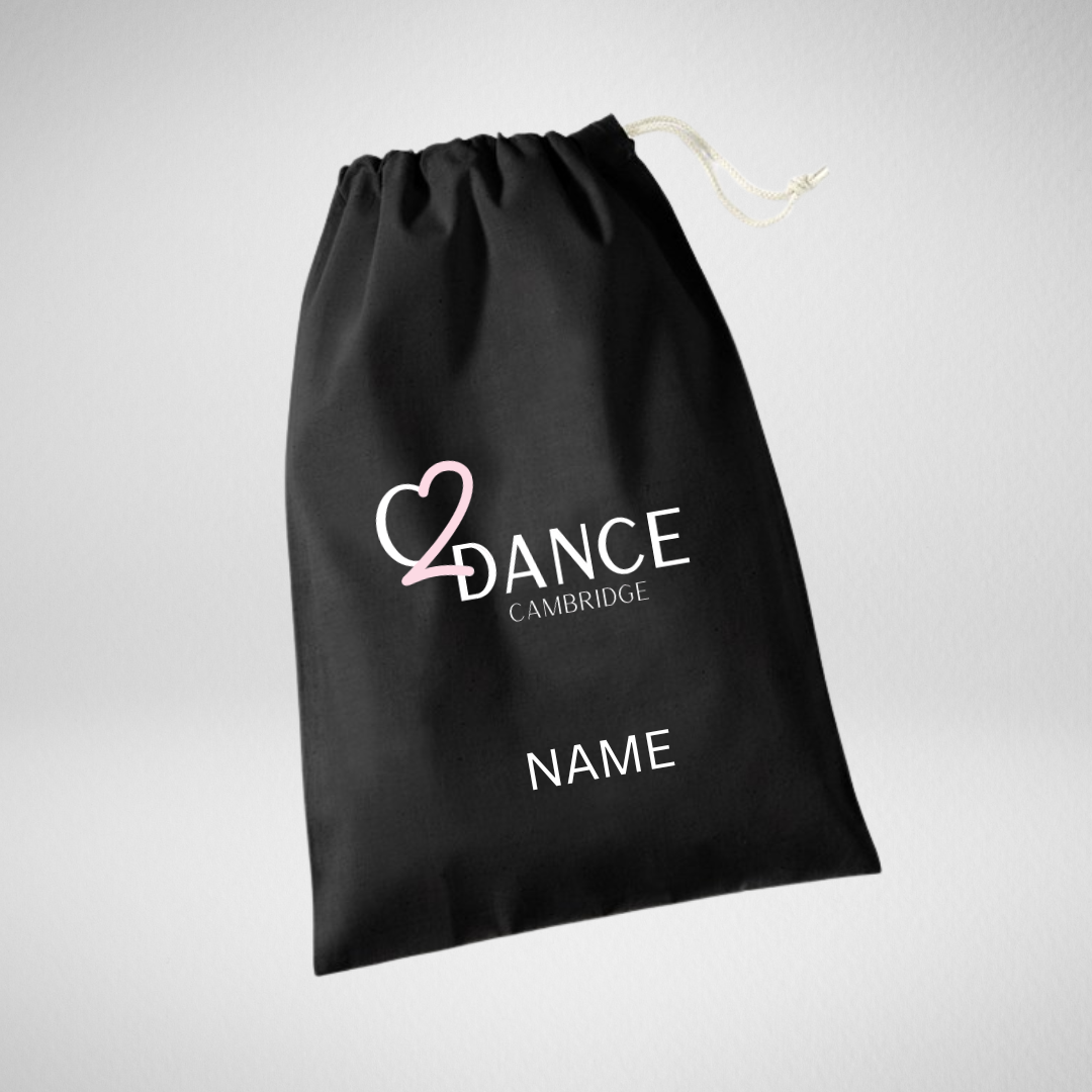 Chapter 2 Dance Academy Shoe Bag