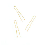 Bun Pins