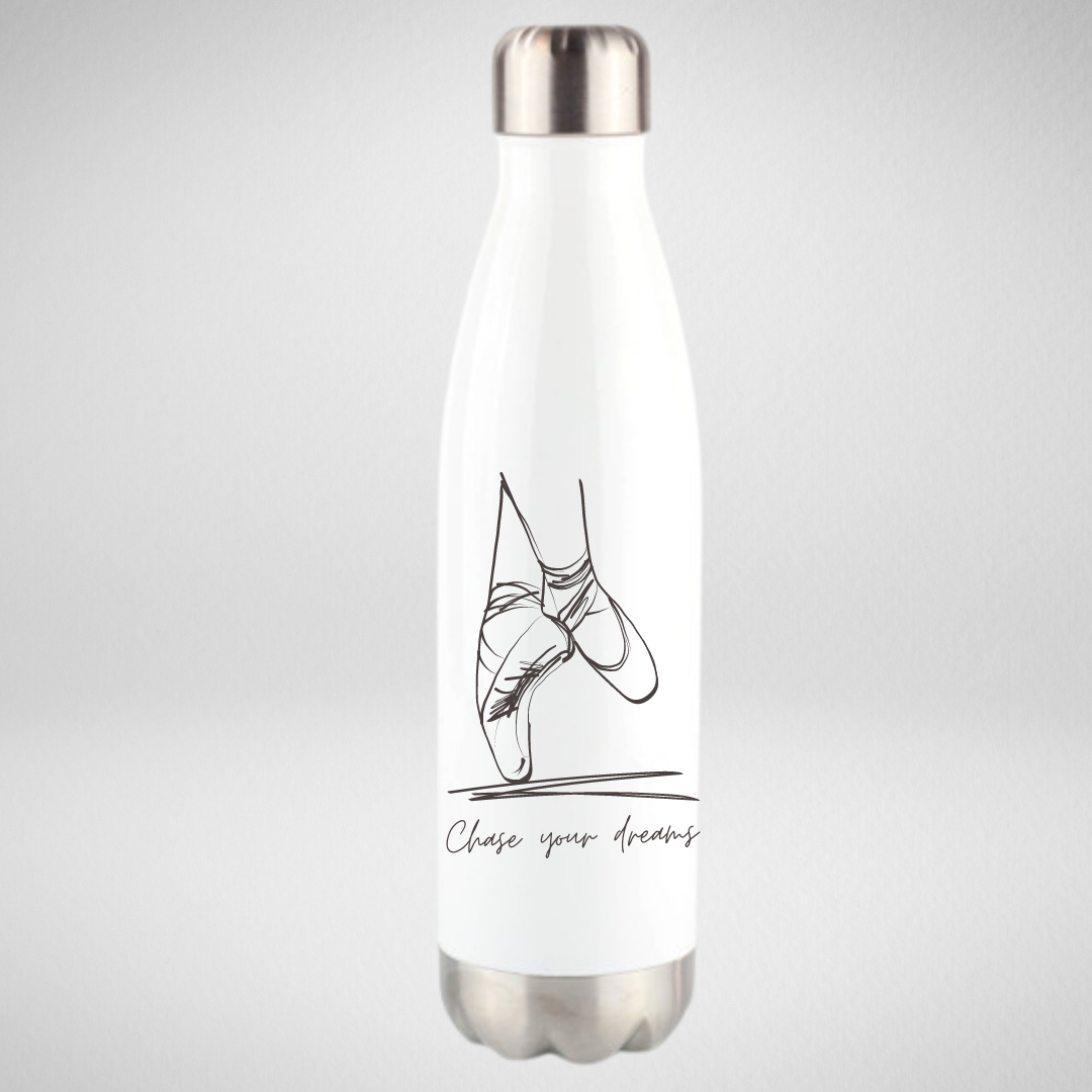 Chase Your Dreams Hydro Bottle