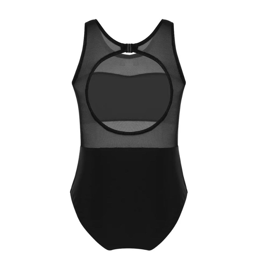 Mesh Panel Leotard